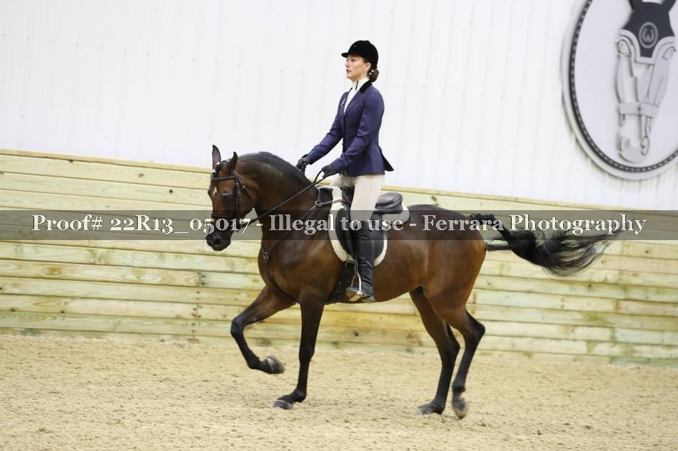 Proof 22R13_05017