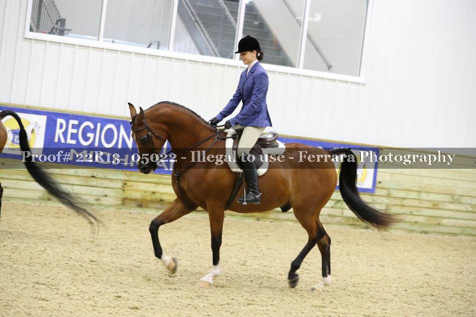 Proof 22R13_05022