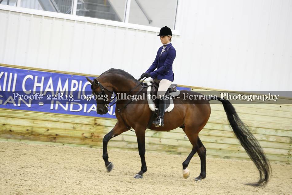 Proof 22R13_05023