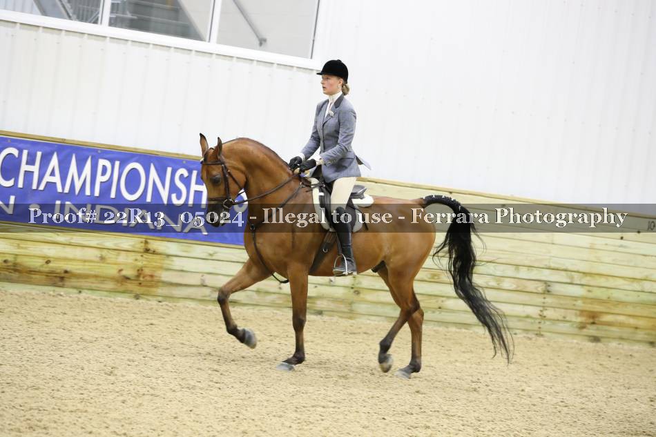 Proof 22R13_05024