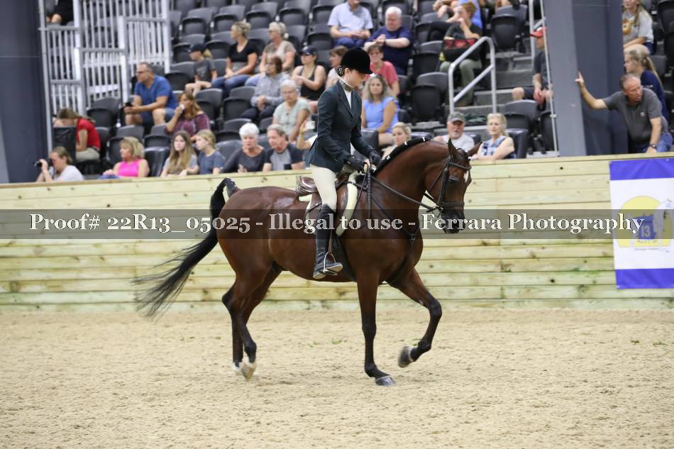 Proof 22R13_05025