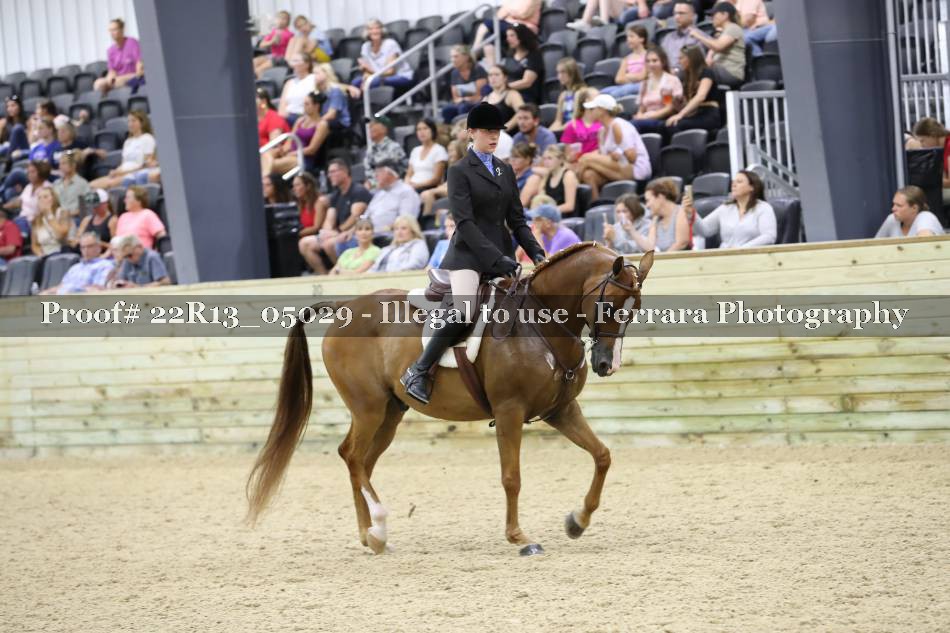 Proof 22R13_05029