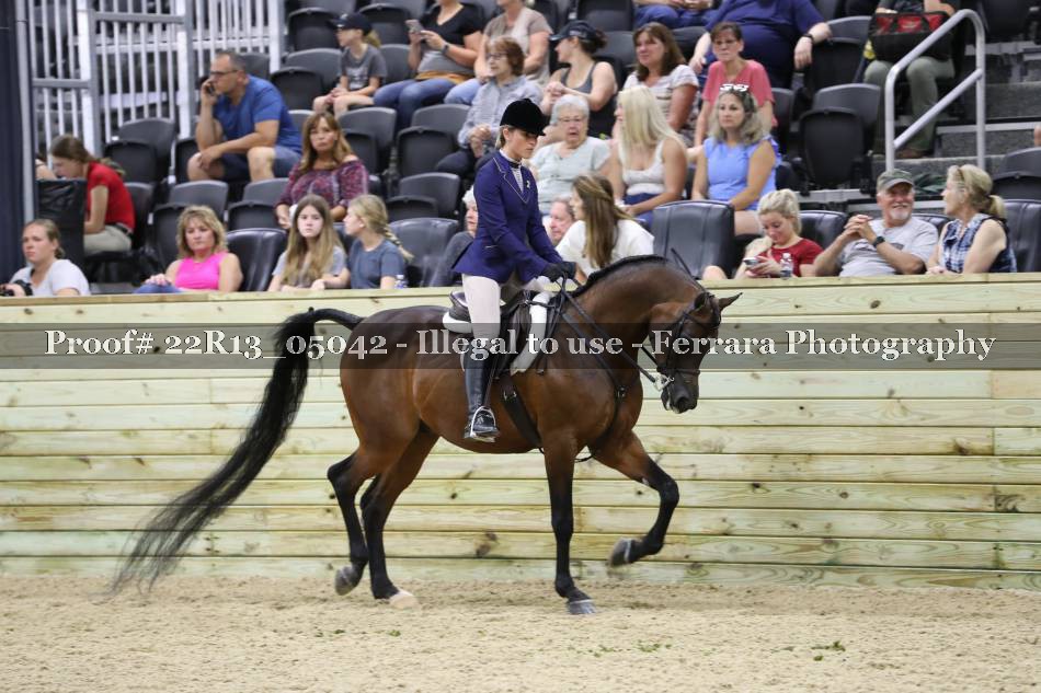 Proof 22R13_05042