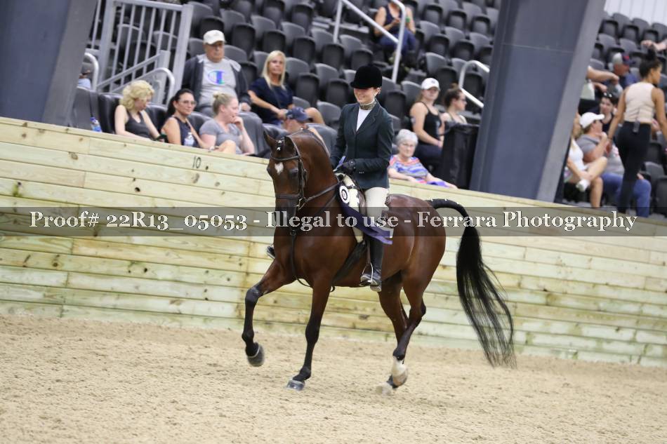 Proof 22R13_05053