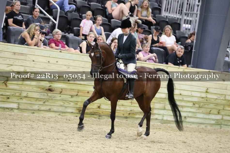 Proof 22R13_05054