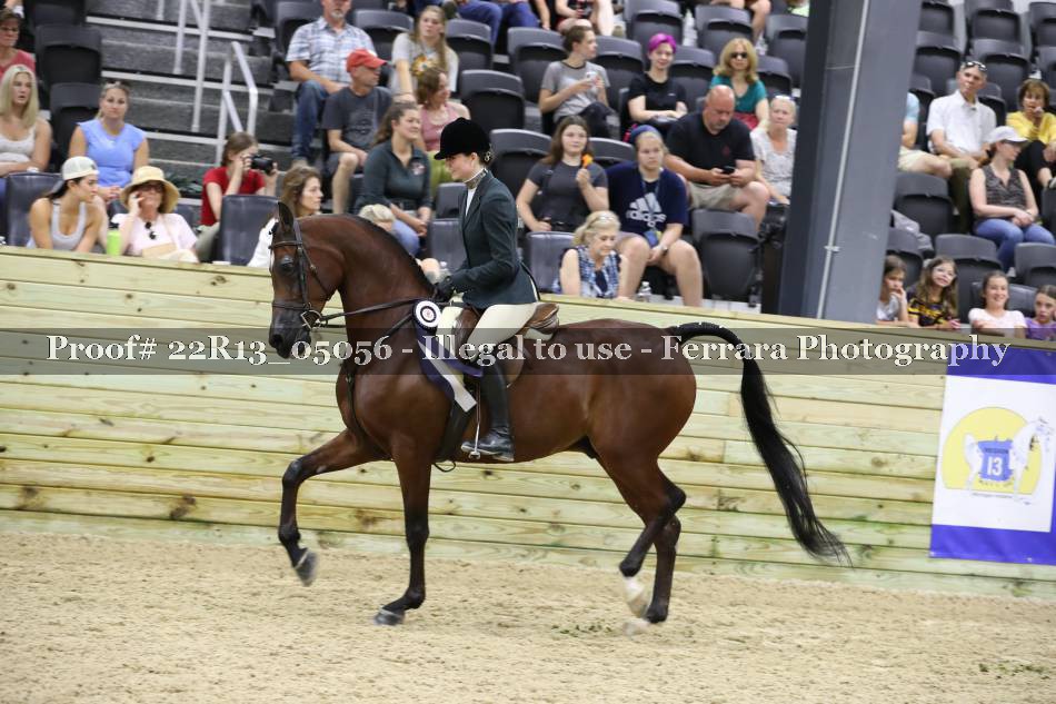 Proof 22R13_05056