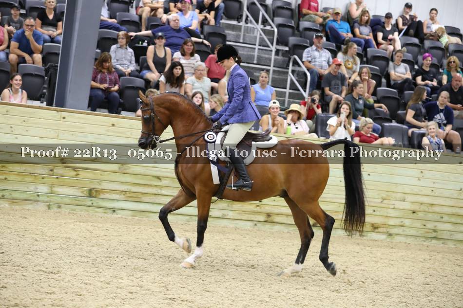 Proof 22R13_05065
