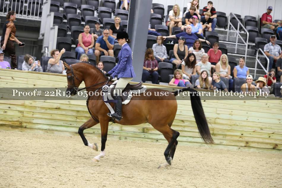 Proof 22R13_05066