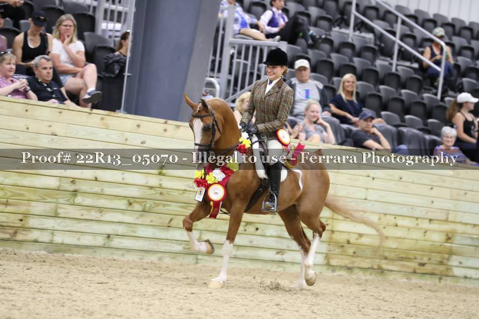 Proof 22R13_05070