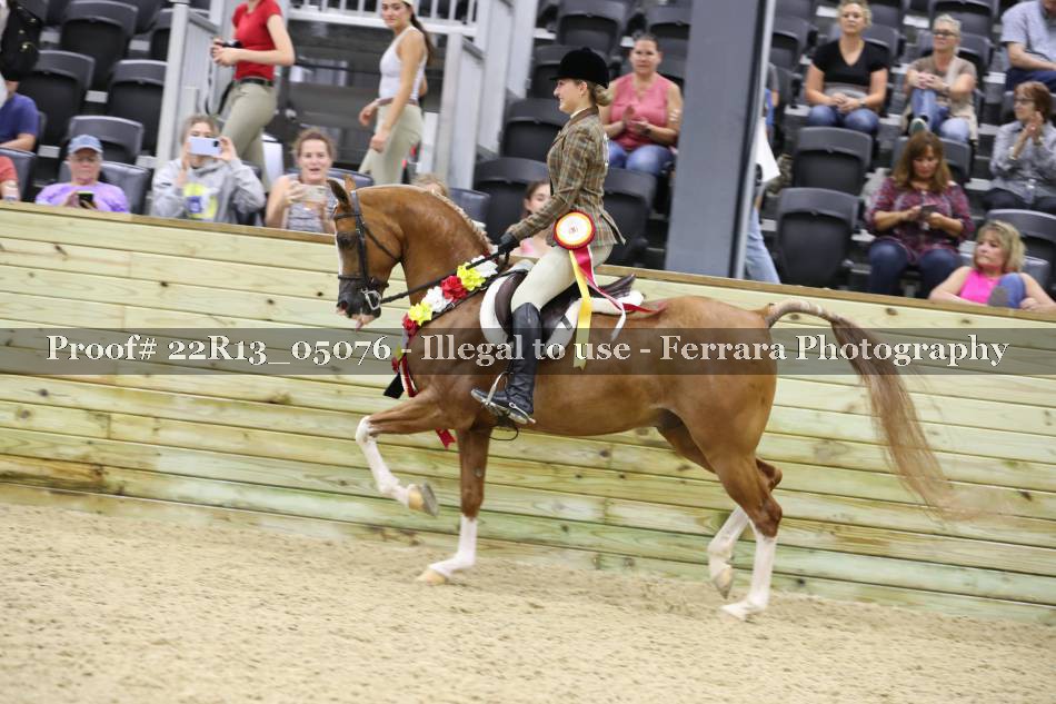Proof 22R13_05076