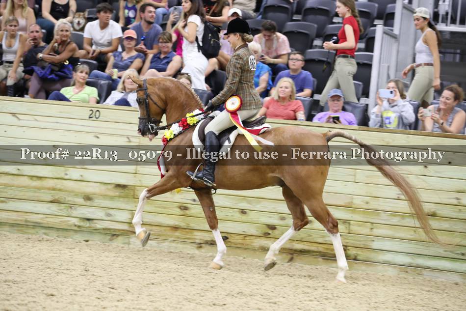 Proof 22R13_05079
