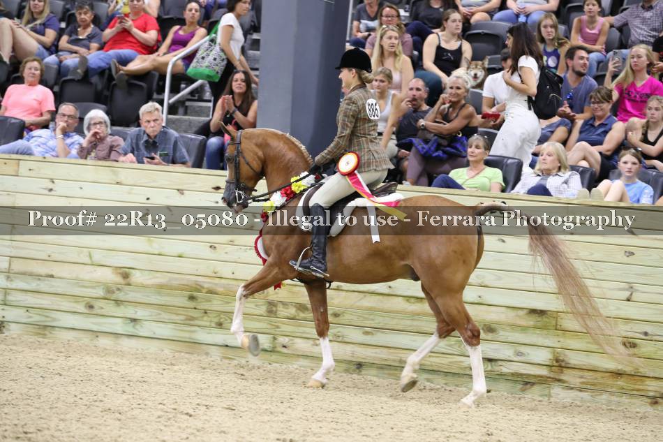 Proof 22R13_05080