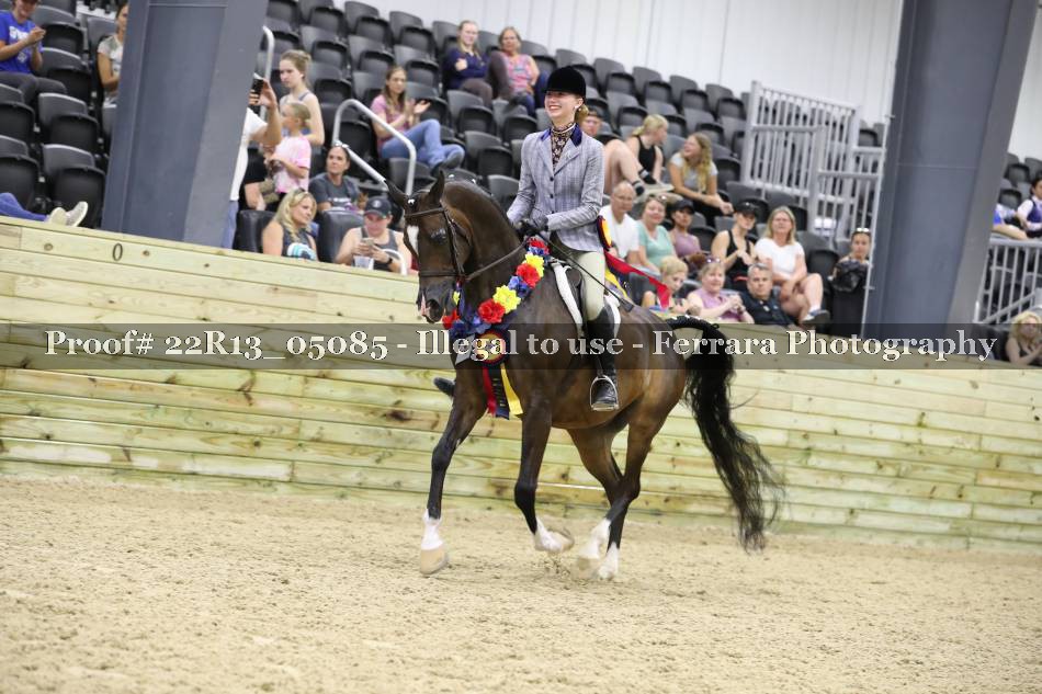 Proof 22R13_05085