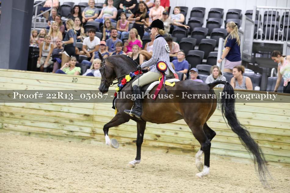 Proof 22R13_05087
