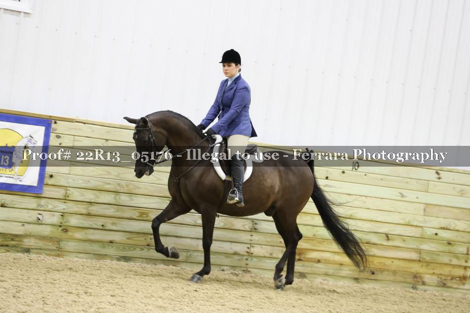 Proof 22R13_05176