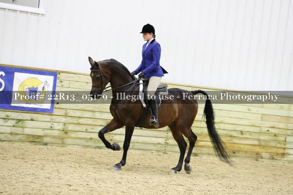 Proof 22R13_05179