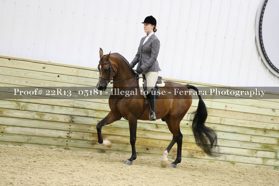 Proof 22R13_05181