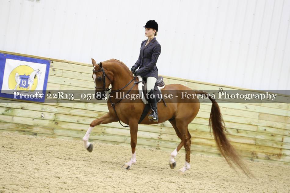 Proof 22R13_05183
