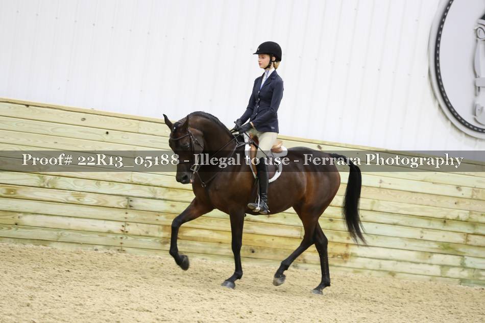 Proof 22R13_05188