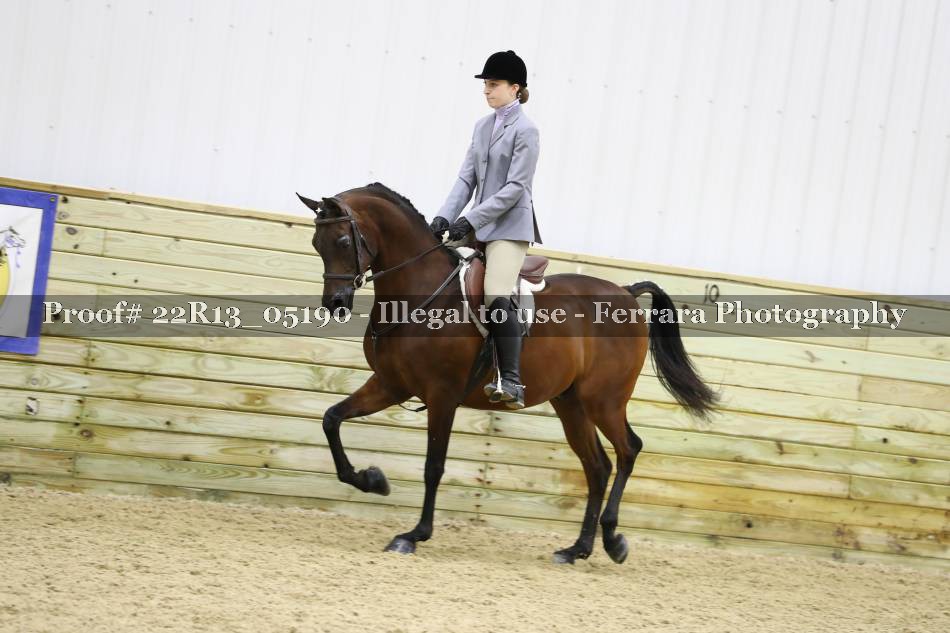 Proof 22R13_05190