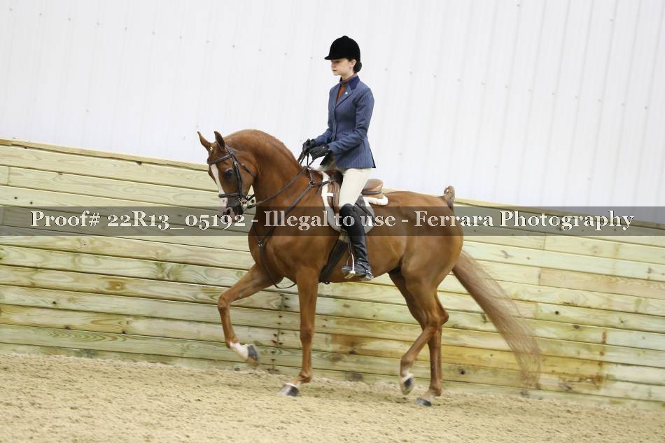 Proof 22R13_05192