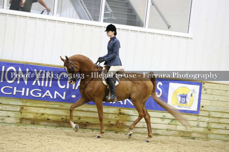 Proof 22R13_05193