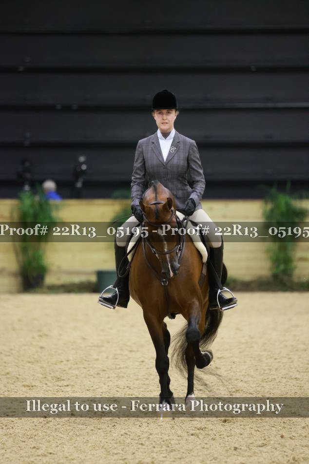 Proof 22R13_05195
