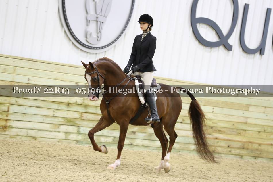 Proof 22R13_05196