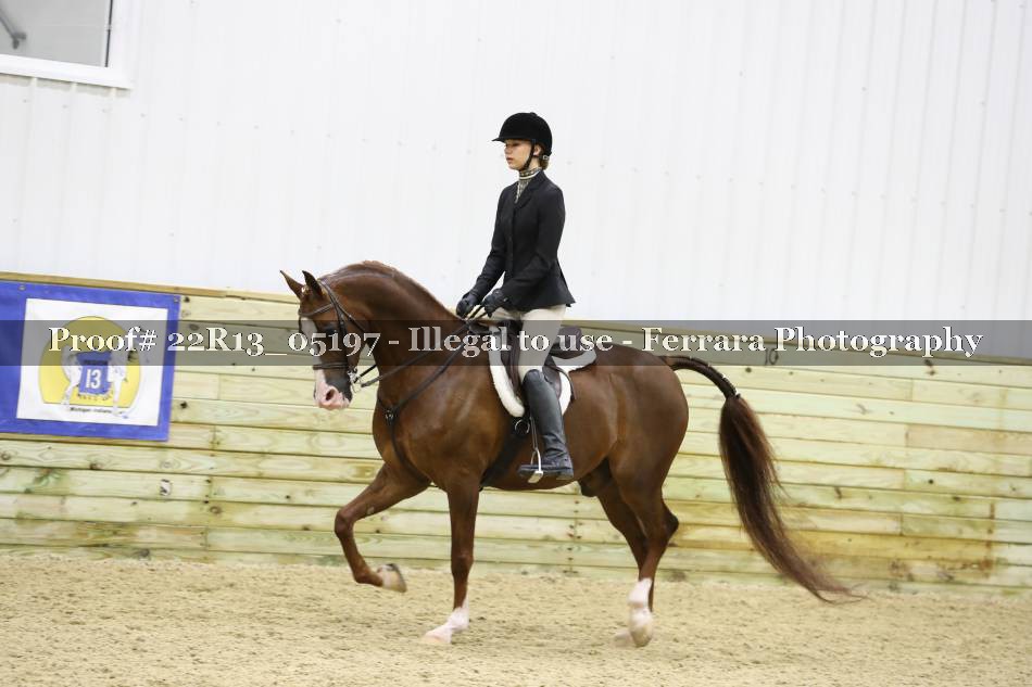 Proof 22R13_05197