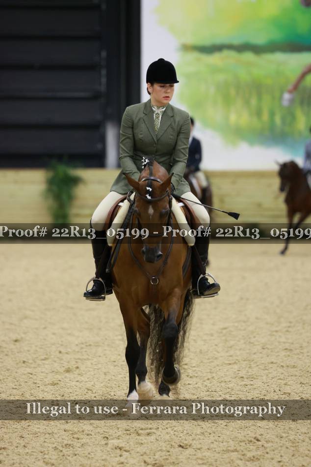 Proof 22R13_05199