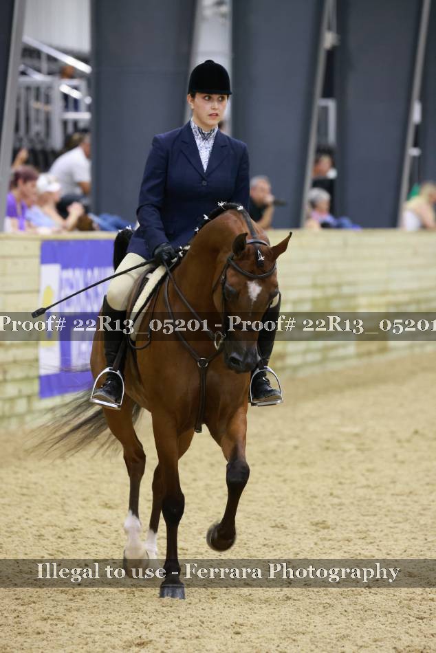 Proof 22R13_05201