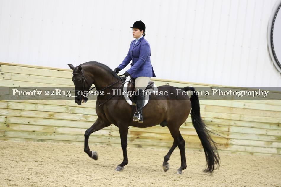 Proof 22R13_05202