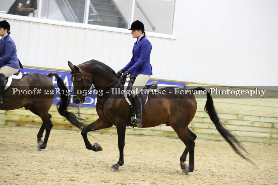 Proof 22R13_05203