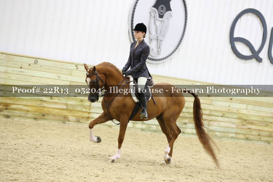 Proof 22R13_05204