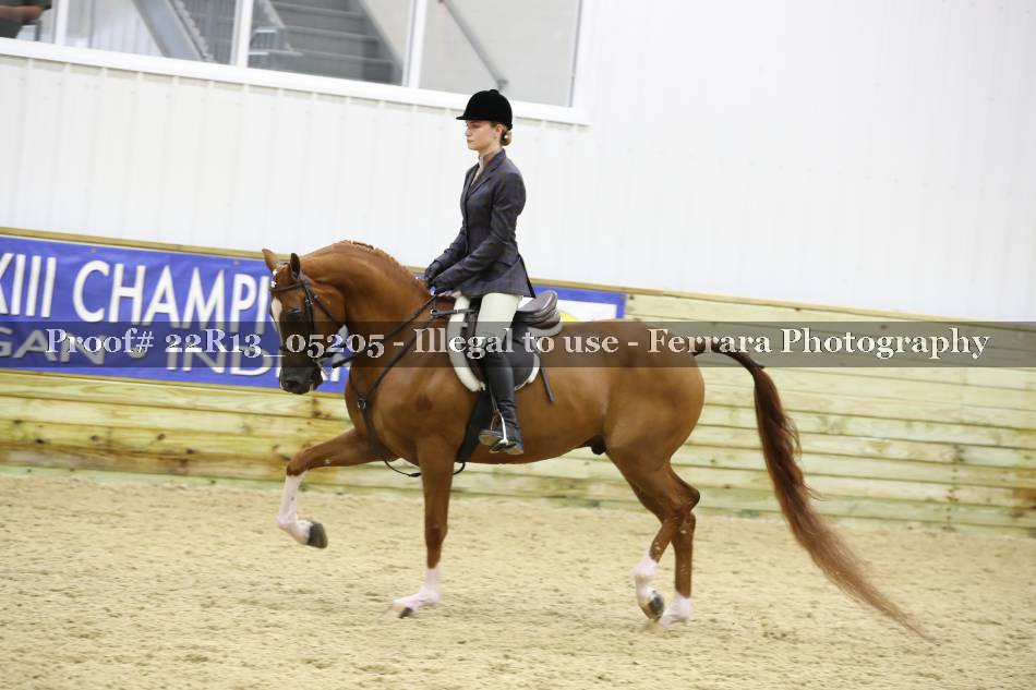 Proof 22R13_05205
