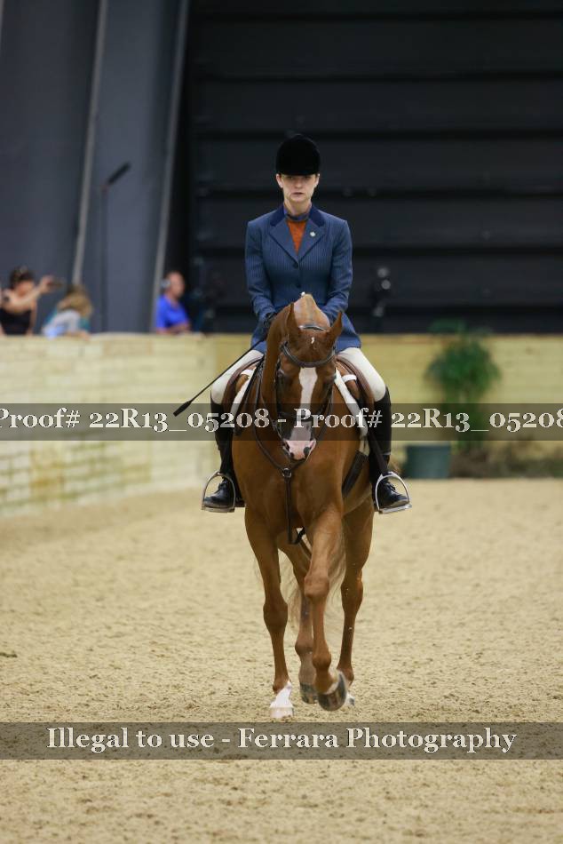 Proof 22R13_05208