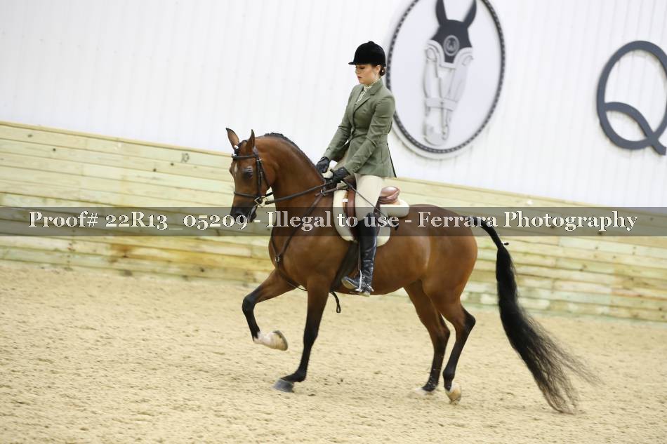 Proof 22R13_05209