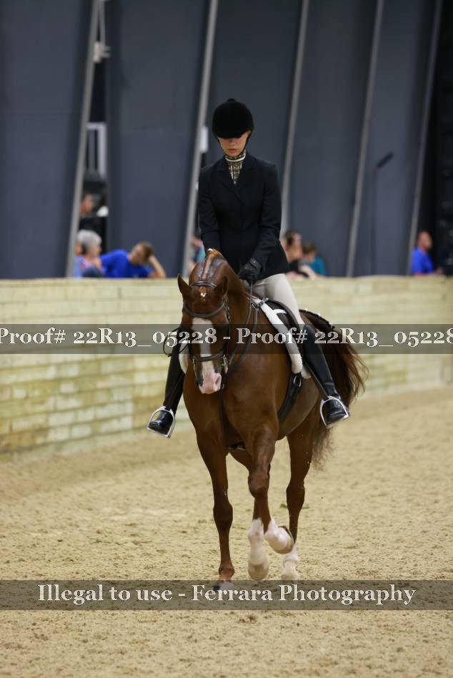Proof 22R13_05228