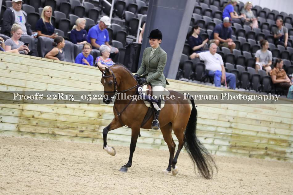 Proof 22R13_05229