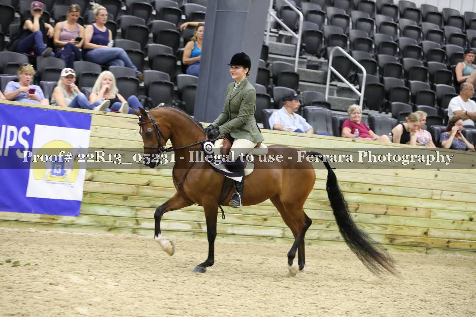 Proof 22R13_05231