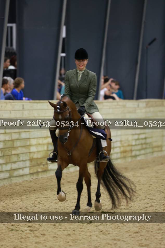 Proof 22R13_05234
