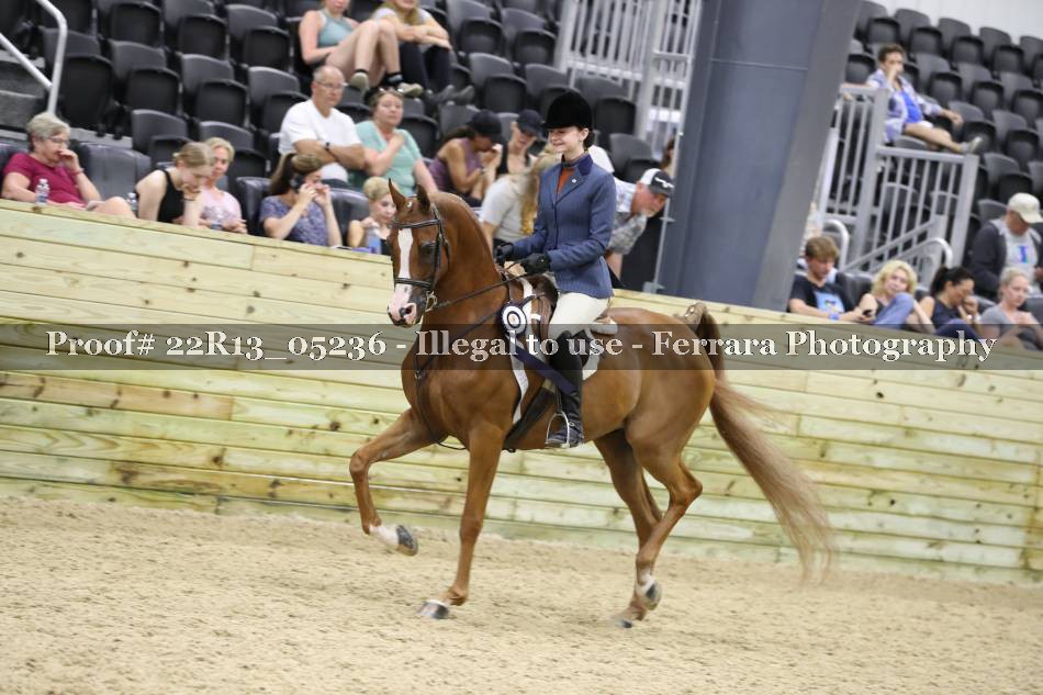 Proof 22R13_05236