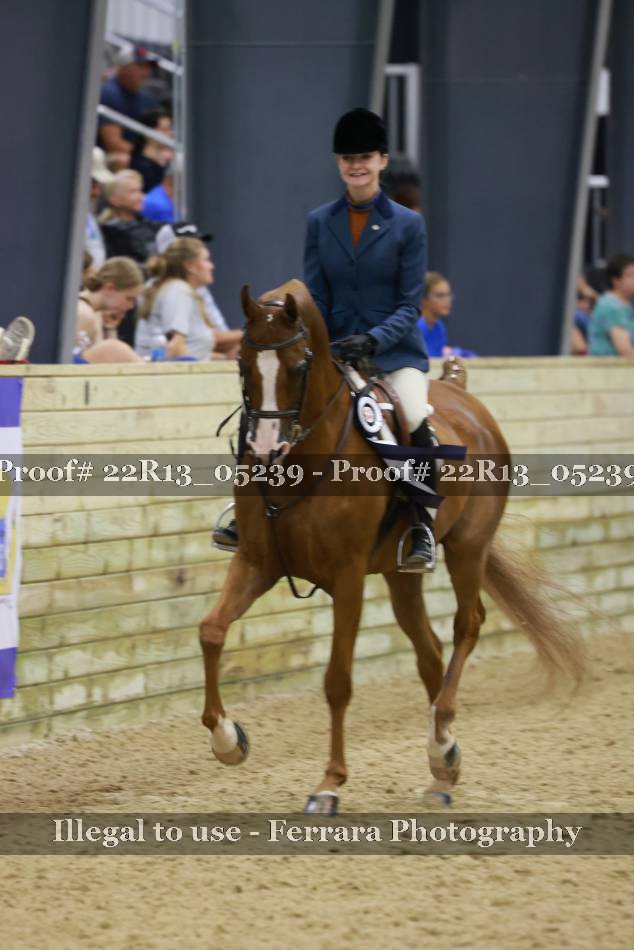 Proof 22R13_05239