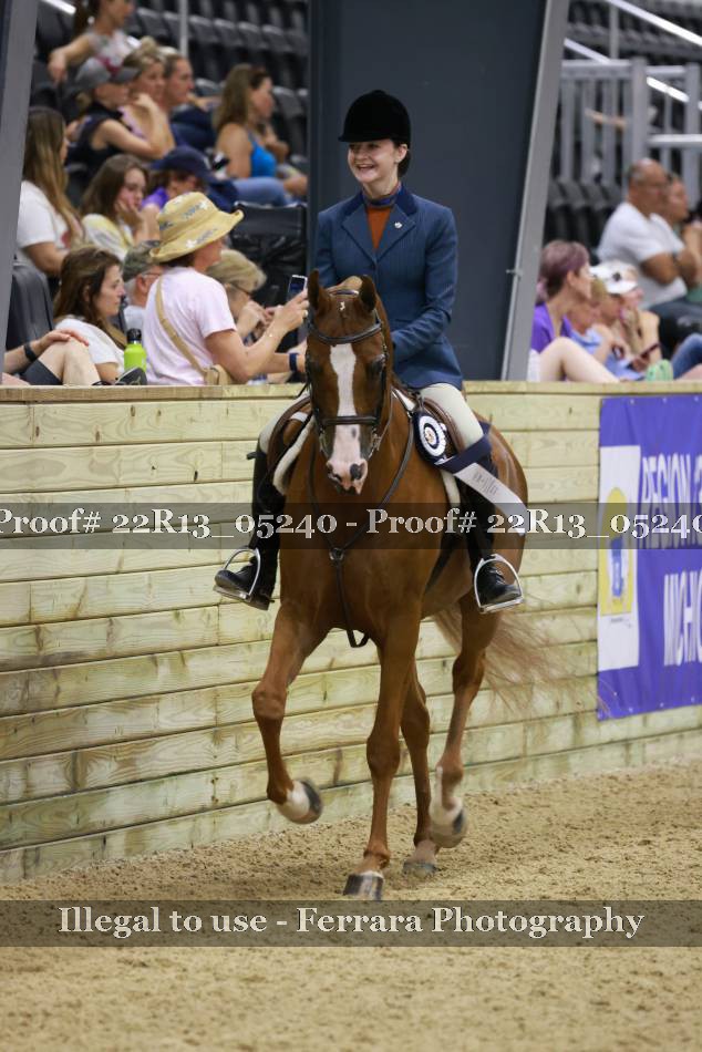 Proof 22R13_05240