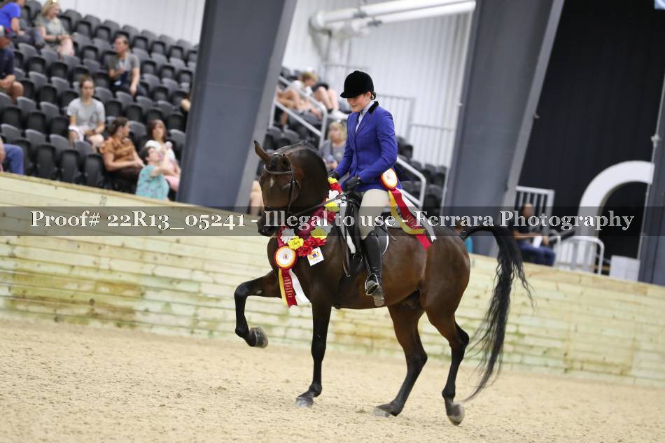 Proof 22R13_05241