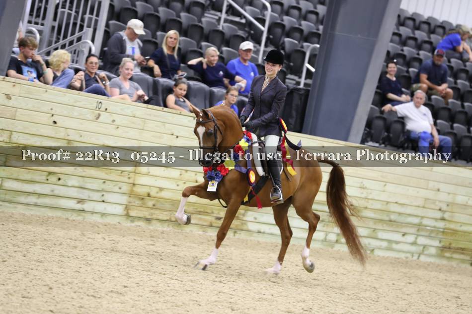Proof 22R13_05245