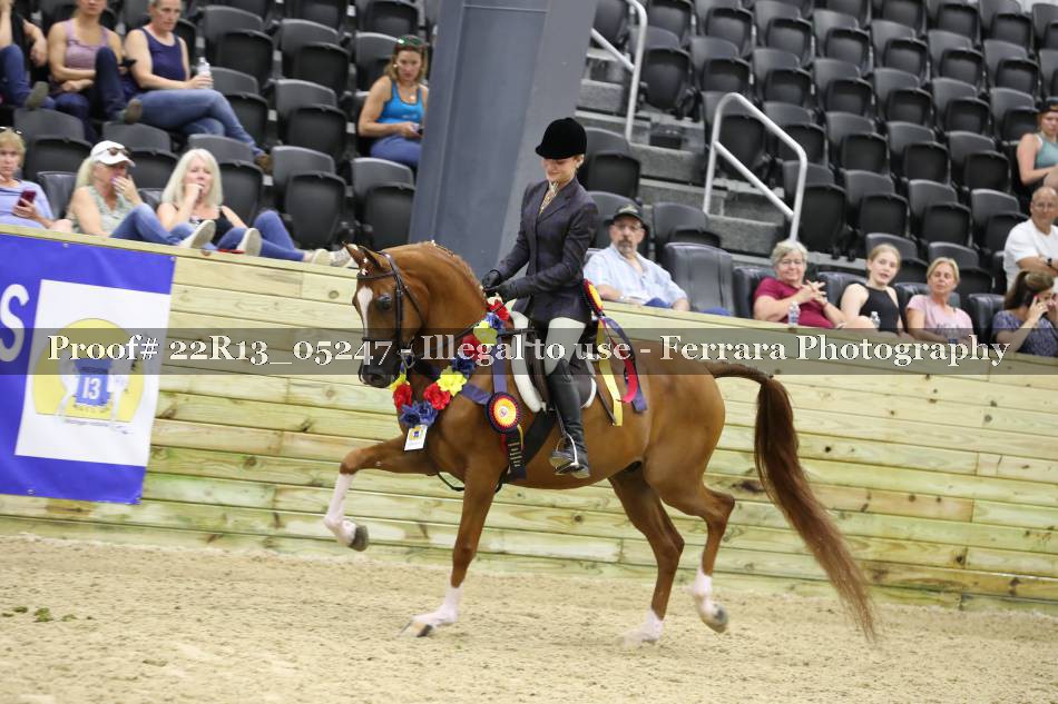 Proof 22R13_05247