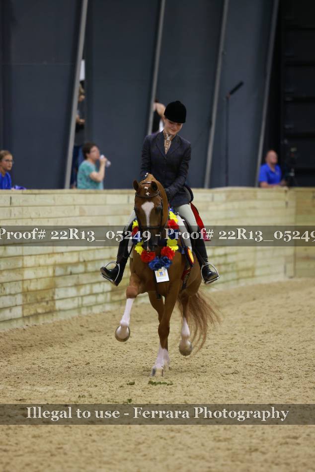 Proof 22R13_05249
