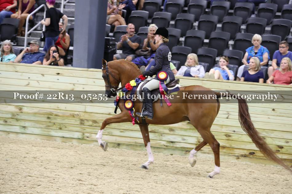 Proof 22R13_05253