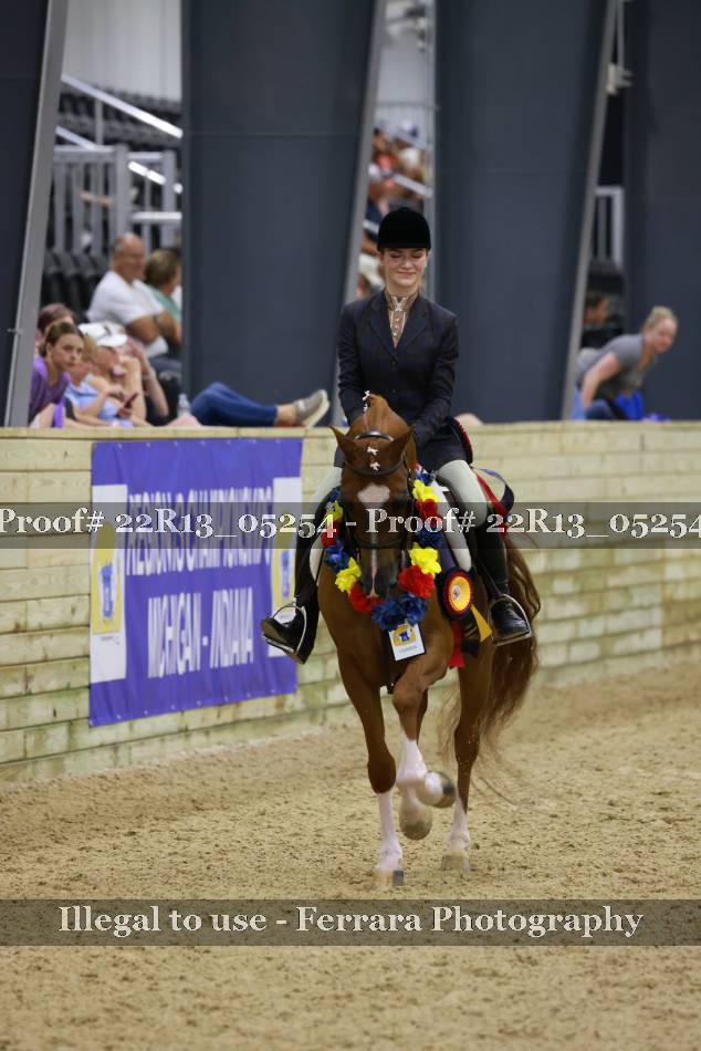 Proof 22R13_05254